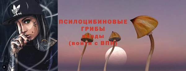 стафф Алексеевка