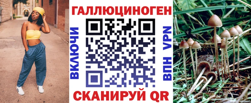 Галлюциногенные грибы Psilocybine cubensis  Валдай 